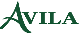 Escritorio Ávila Escritorio Ávila
